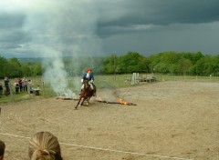 Fonds d'cran Animaux Chevauche de DARTAGNAN