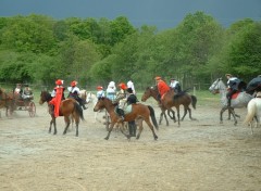 Fonds d'cran Animaux Fte du Cheval