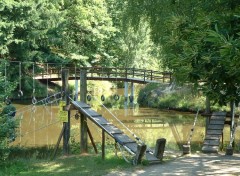 Fonds d'cran Nature Parc  BELLEVUE (87)