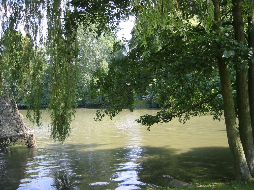 Fonds d'cran Nature Parcs - Jardins 