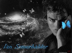 Wallpapers Celebrities Men Wall Ian Somerhalder 7