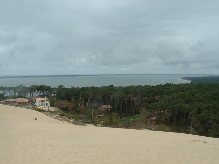 Fonds d'cran Nature Mers - Ocans - Plages DUNE DU PYLA