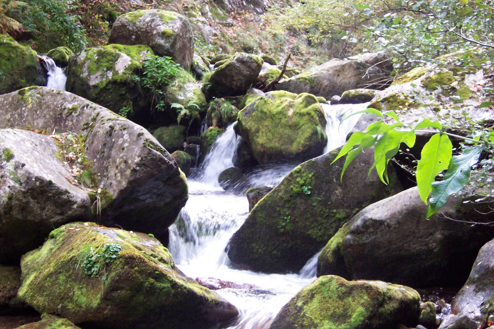 Fonds d'cran Nature Cascades - Chutes Cascade du Cady 3