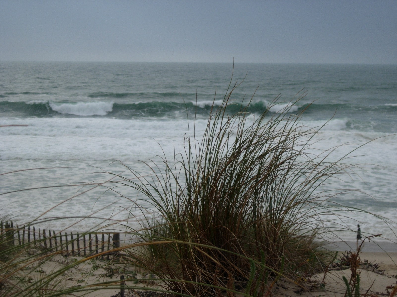 Fonds d'cran Nature Mers - Ocans - Plages 