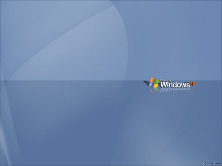 Fonds d'cran Informatique Windows XP Windows XP