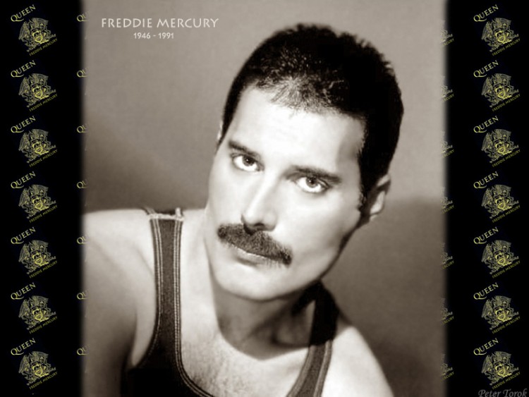 Fonds d'cran Musique Freddie Mercury Freddie Mercury