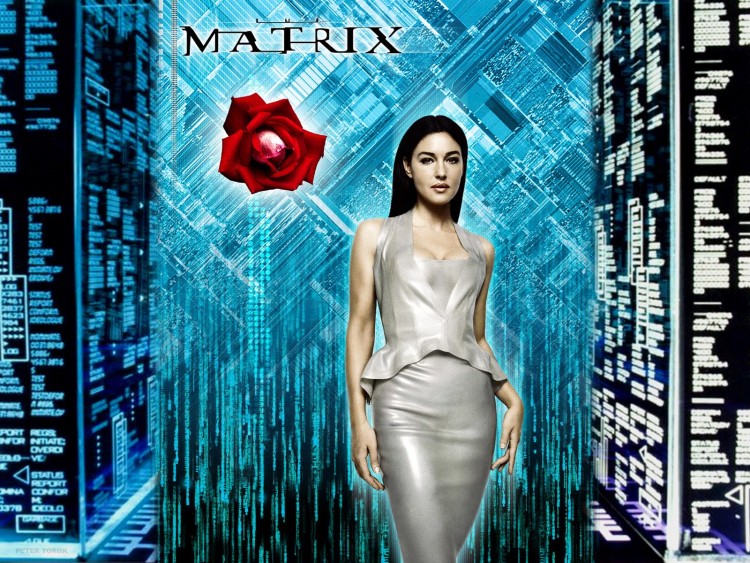 Fonds d'cran Cinma Matrix 2 Reloaded The Matrix Reloaded - PERSEPHONE