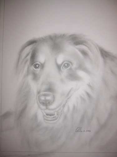 Fonds d'cran Art - Crayon Animaux - Chiens Chien