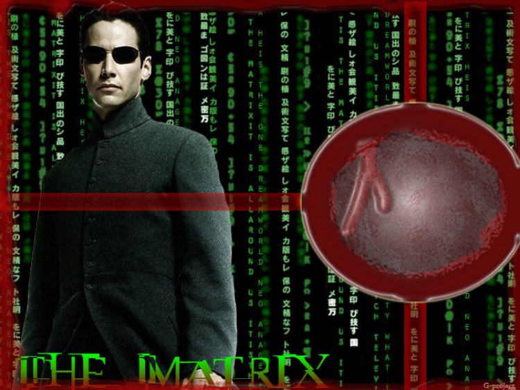 Fonds d'cran Cinma Matrix 1 Wallpaper de la Matrice