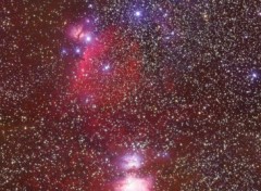 Fonds d'cran Espace M42 and Horsehead Nebula