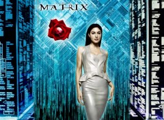 Fonds d'cran Cinma The Matrix Reloaded - PERSEPHONE