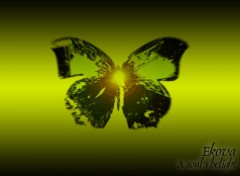 Wallpapers Music ekova butterfly