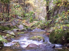 Fonds d'cran Nature Gorge du Cady