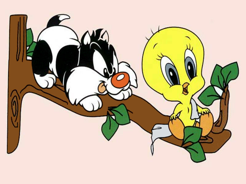 Wallpapers Cartoons Titi Titi et grosminet sur une branche