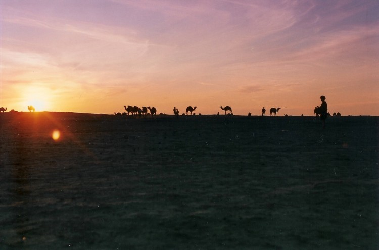 Fonds d'cran Voyages : Afrique Maroc Les Portes du Desert