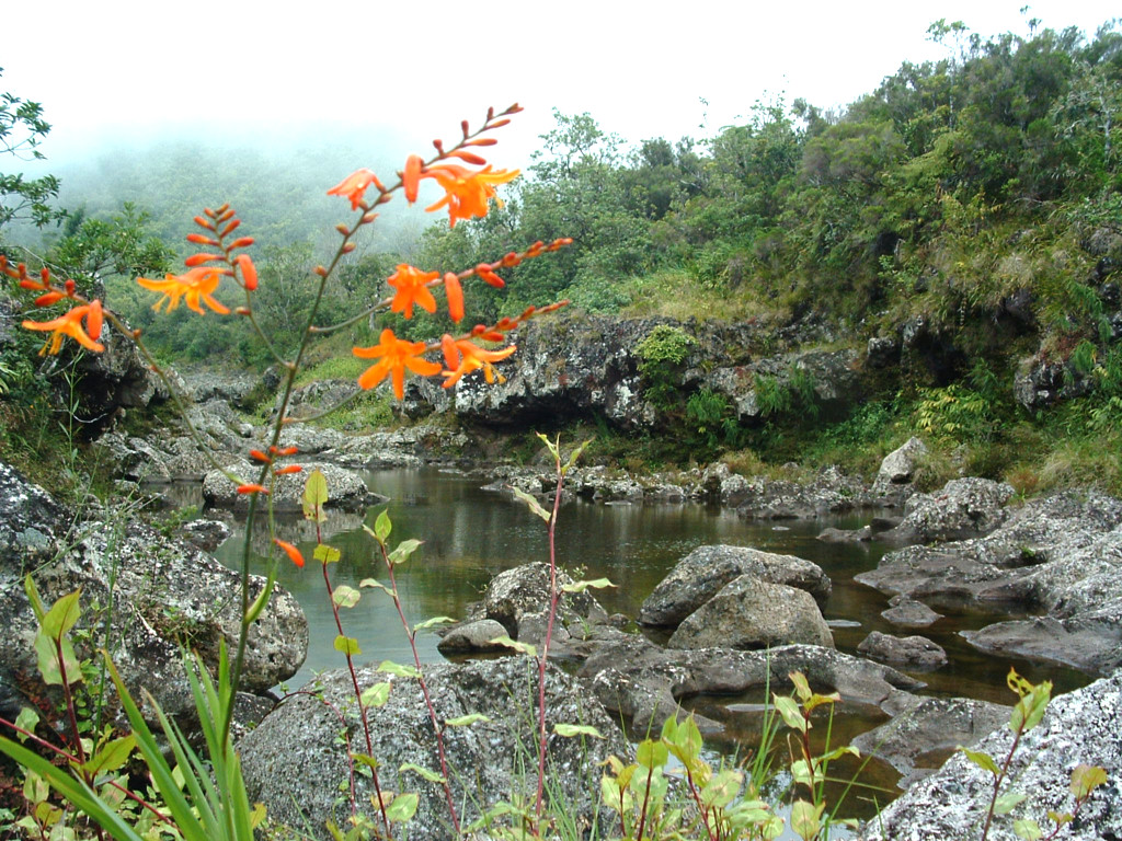 Fonds d'cran Nature Fleuves - Rivires - Torrents Ile de la Reunion