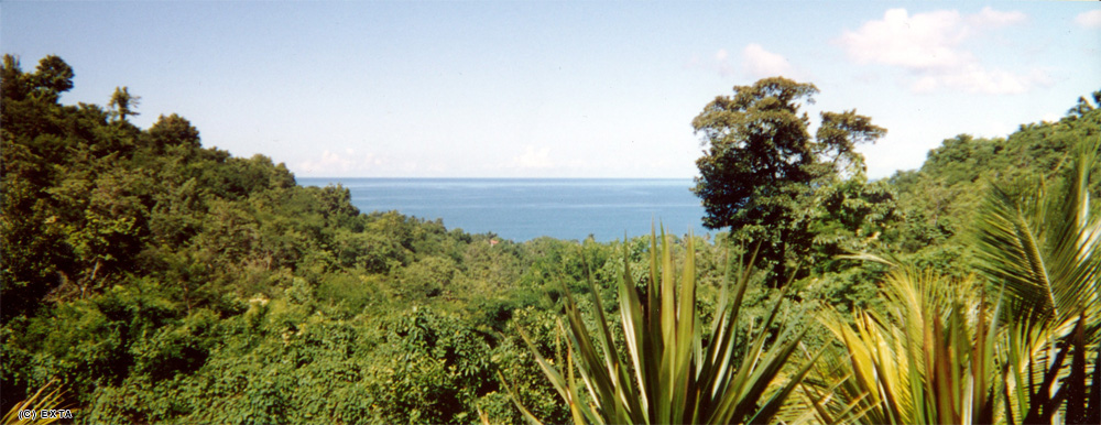 Fonds d'cran Voyages : Amrique du nord La Guadeloupe Panorama mer/vegetation