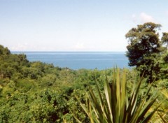 Fonds d'cran Voyages : Amrique du nord Panorama mer/vegetation