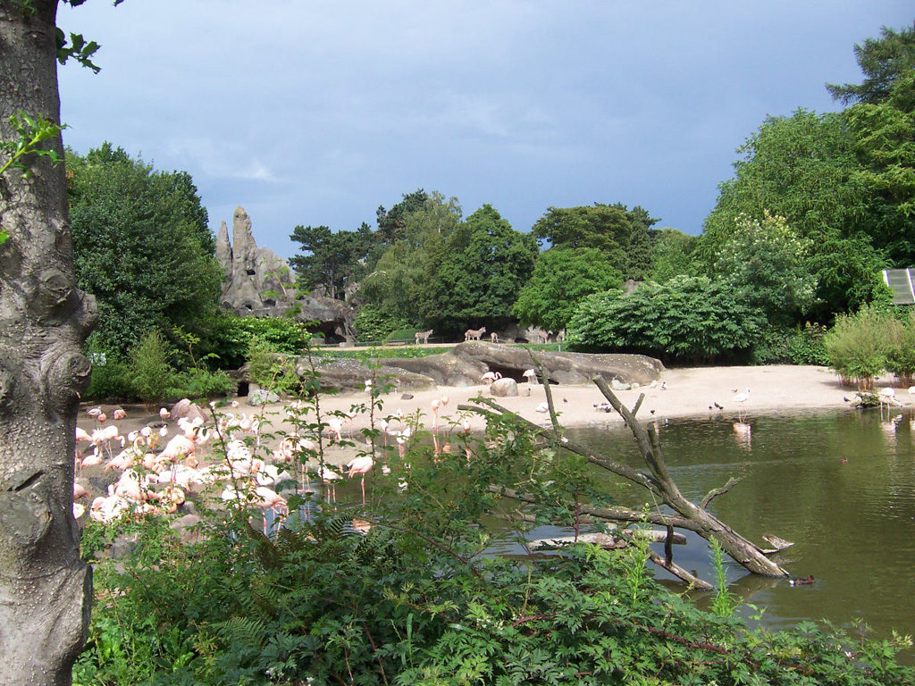 Fonds d'cran Nature Paysages Zoo de Hamburg