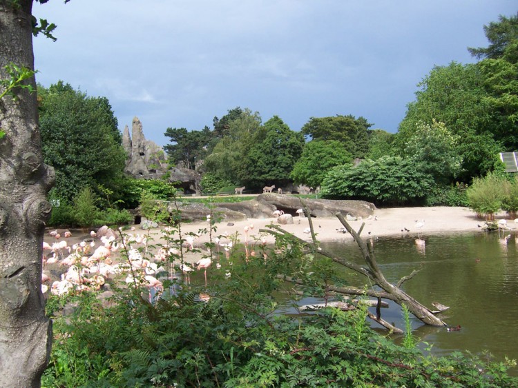 Wallpapers Nature Landscapes Zoo de Hamburg