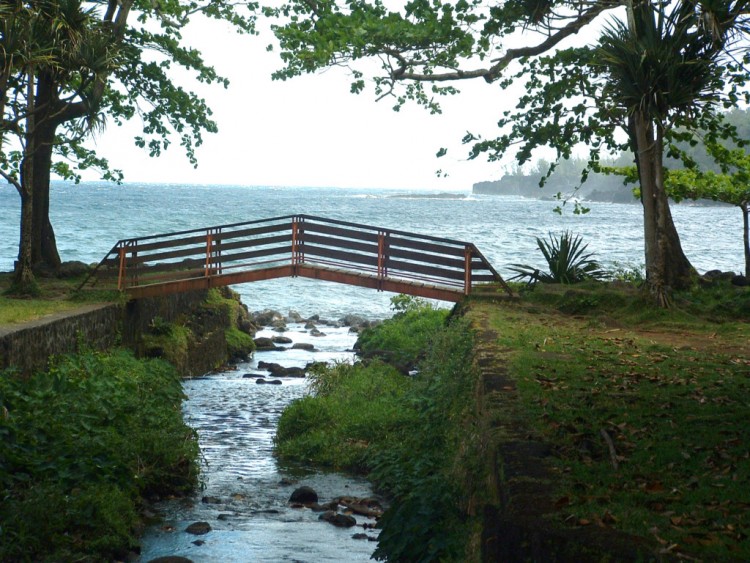 Fonds d'cran Nature Mers - Ocans - Plages Ile de la Reunion