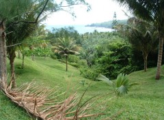 Fonds d'cran Nature Ile de la Reunion