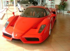 Wallpapers Cars ferrari enzo