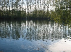 Fonds d'cran Nature Reflets d'eau