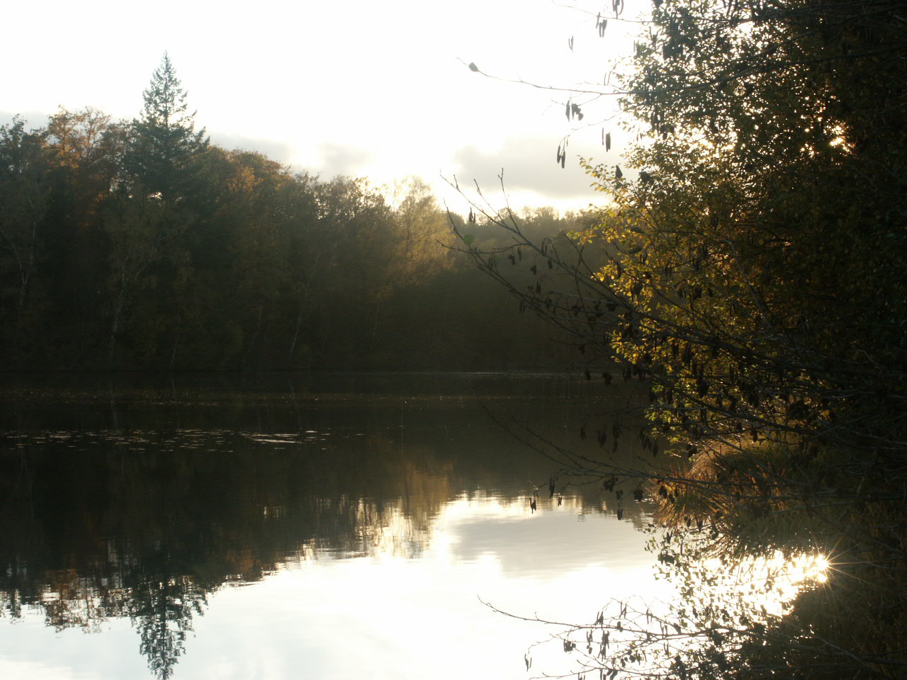 Fonds d'cran Nature Fleuves - Rivires - Torrents 