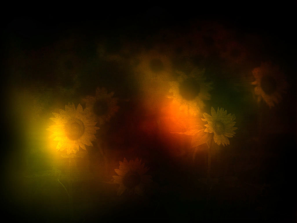 Fonds d'cran Art - Numrique Abstrait flowers