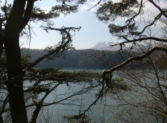 Fonds d'cran Nature Lac Pavin - Auvergne