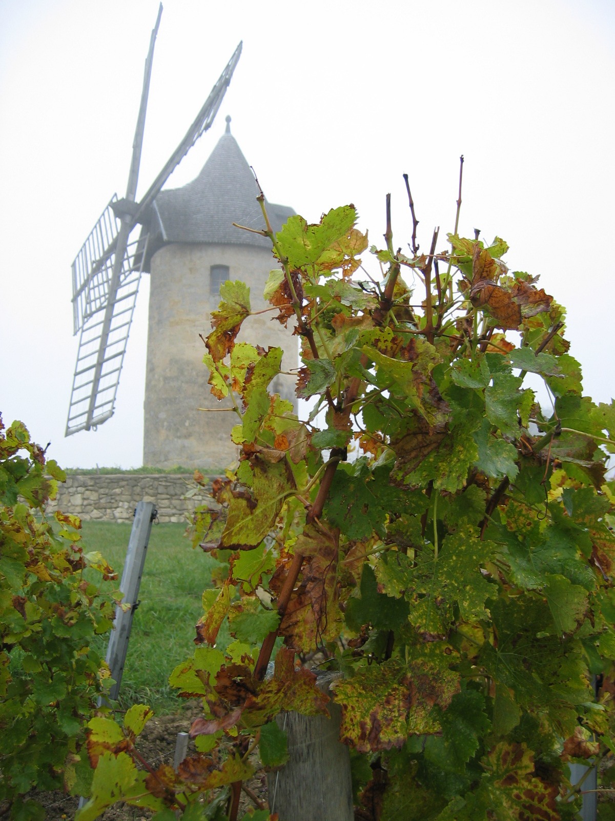 Fonds d'cran Constructions et architecture Moulins - Eoliennes Moulin des vignes