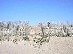 Fonds d'cran Nature Arrive  la plage