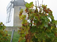 Fonds d'cran Constructions et architecture Moulin des vignes