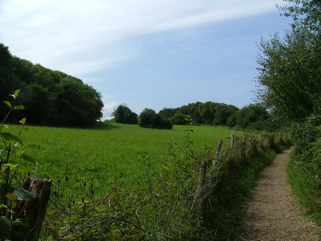 Wallpapers Nature Campaign le parc d'abbadie