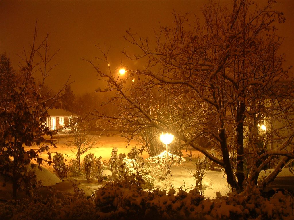 Fonds d'cran Nature Saisons - Hiver premire neige a Rimouski