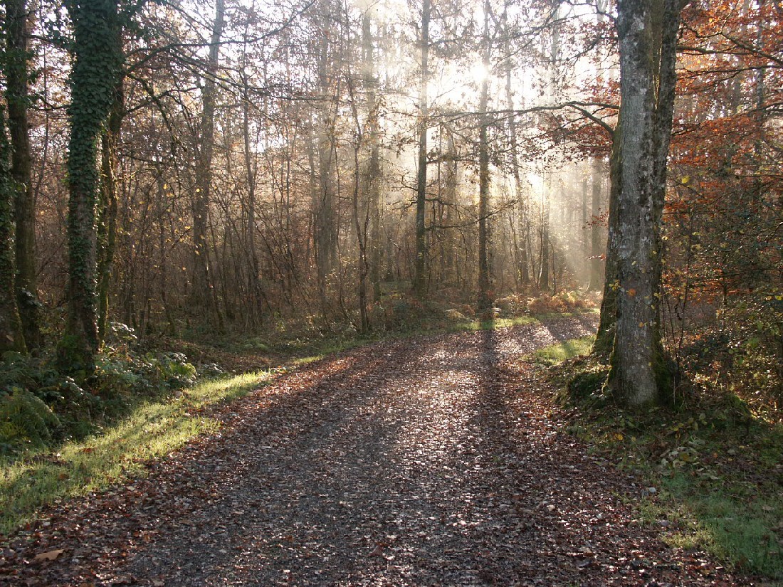 Fonds d'cran Nature Saisons - Automne 