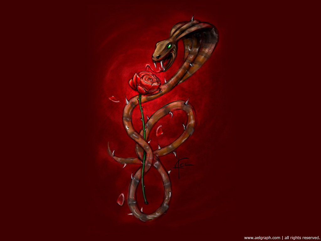 Fonds d'cran Fantasy et Science Fiction Cratures Diverses Snake & Rose