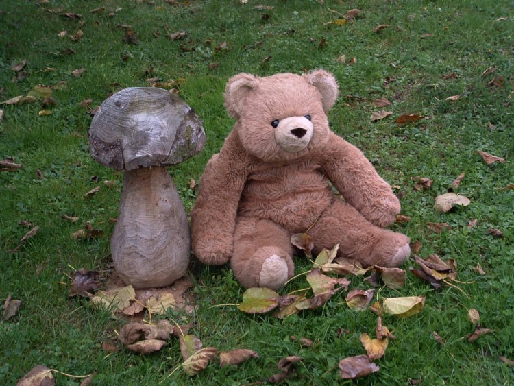 Fonds d'cran Objets Peluches Gros Nounours prfre les vrais champignons...