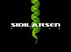 Wallpapers Music Sidilarsen