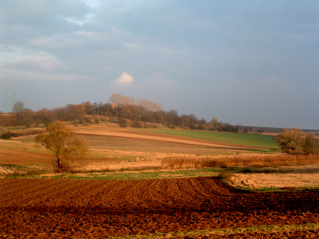 Fonds d'cran Voyages : Europe France > Alsace Il est 15H15,  un dernier rayon de soleil...