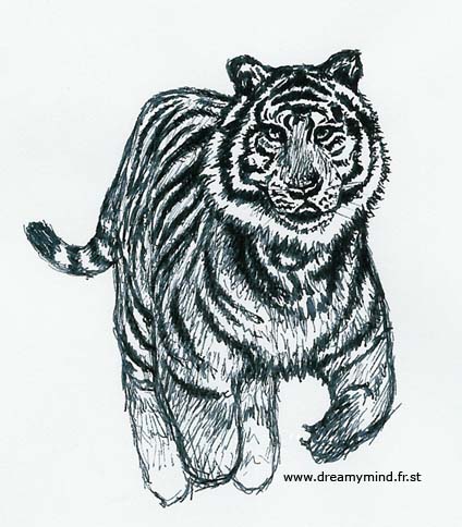 Fonds d'cran Art - Crayon Animaux - Flins Tigre