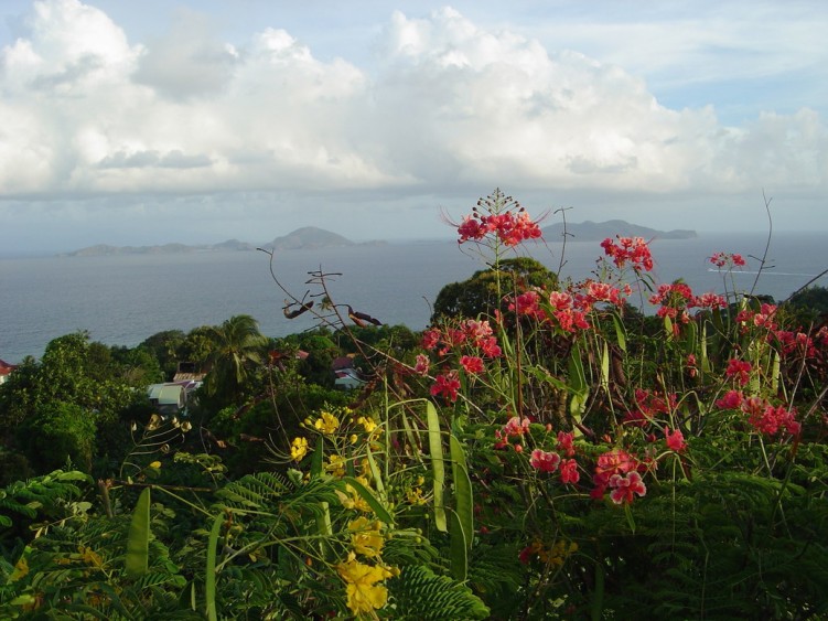 Fonds d'cran Voyages : Amrique du nord La Guadeloupe GWADA & LES SAINTES FUSION