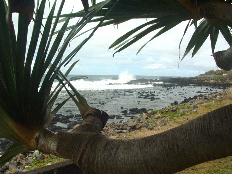 Fonds d'cran Voyages : Afrique La Runion Ile de la Reunion