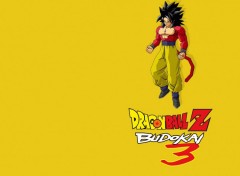 Fonds d'cran Jeux Vido Dragon Ball Z Budokai 3 : Goku Super Sayan 4