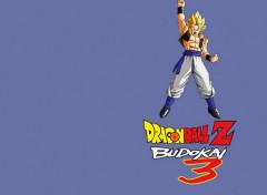 Fonds d'cran Jeux Vido Dragon Ball Z Budokai 3 : Gogeta