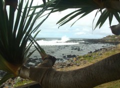 Fonds d'cran Voyages : Afrique Ile de la Reunion