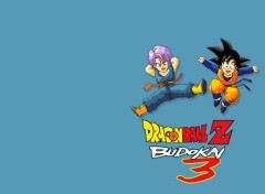 Fonds d'cran Jeux Vido Dragon Ball Z Budokai 3 : Trunks & Goten