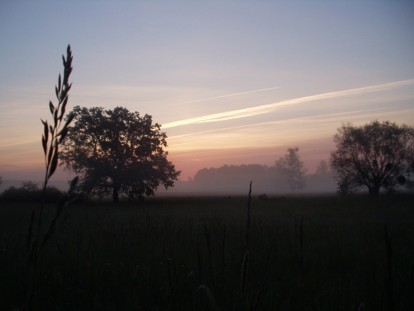 Wallpapers Nature Sunsets and sunrises aube campagnarde