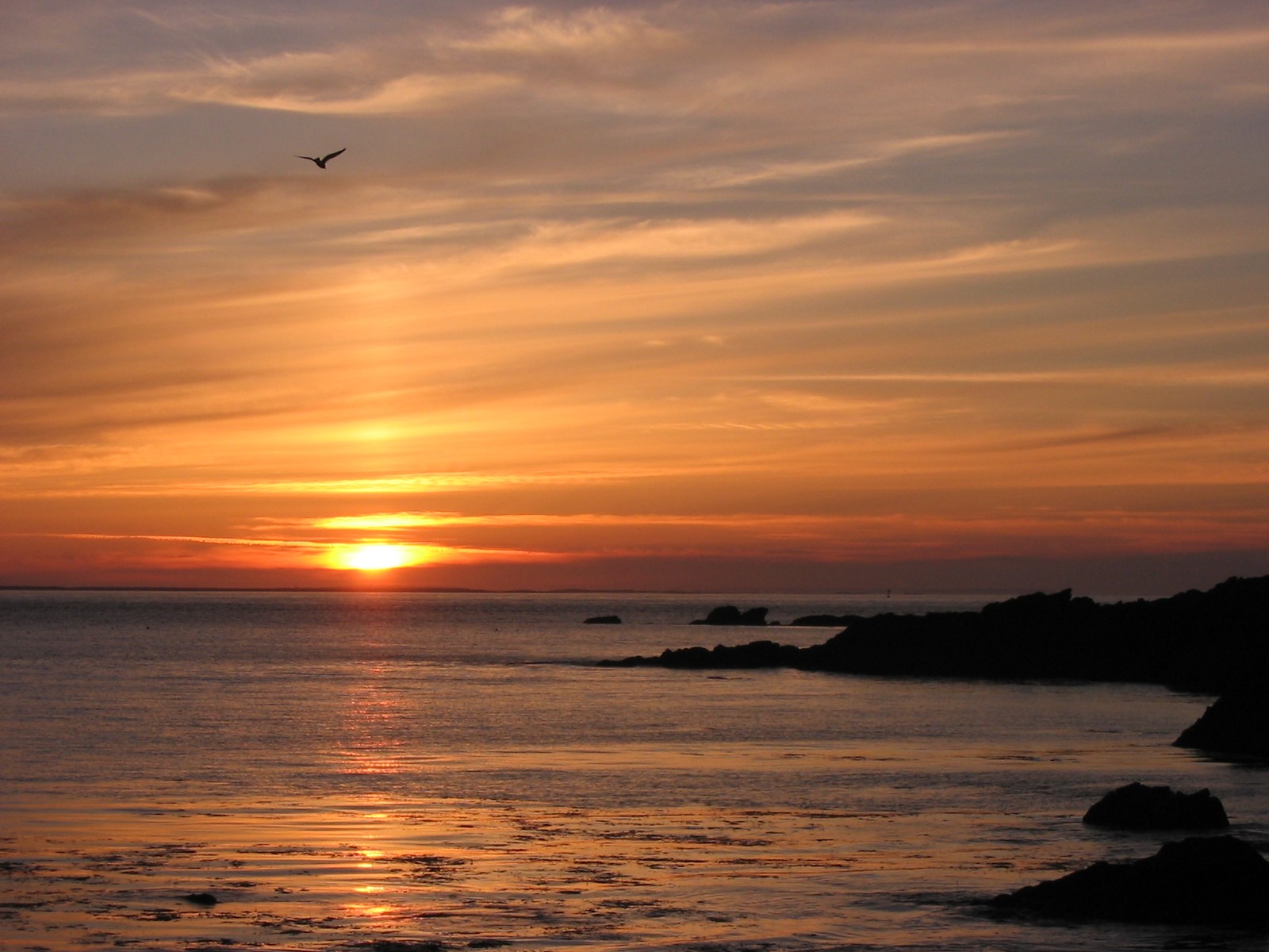 Fonds d'cran Nature Couchers et levers de Soleil Brest